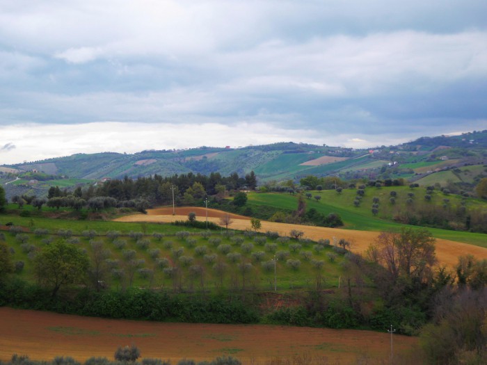 Foto Terreno in Vendita in Via Migliorato - Sant'Omero (TE)