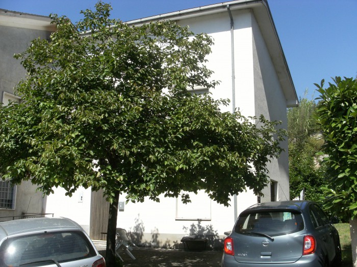 Foto Cielo-terra in Vendita in Contrada Castellana - Vicalvi (FR)