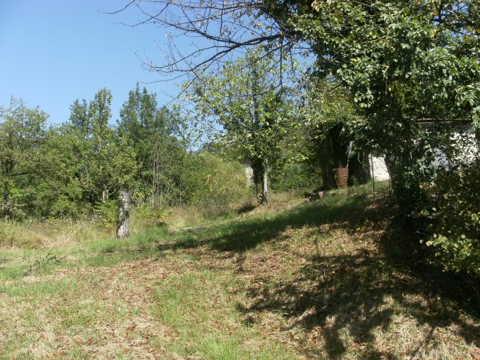 Foto 3 Cielo-terra in Vendita in Contrada Castellana - Vicalvi (FR)