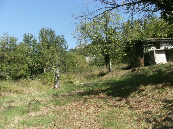 Foto 4 Cielo-terra in Vendita in Contrada Castellana - Vicalvi (FR)
