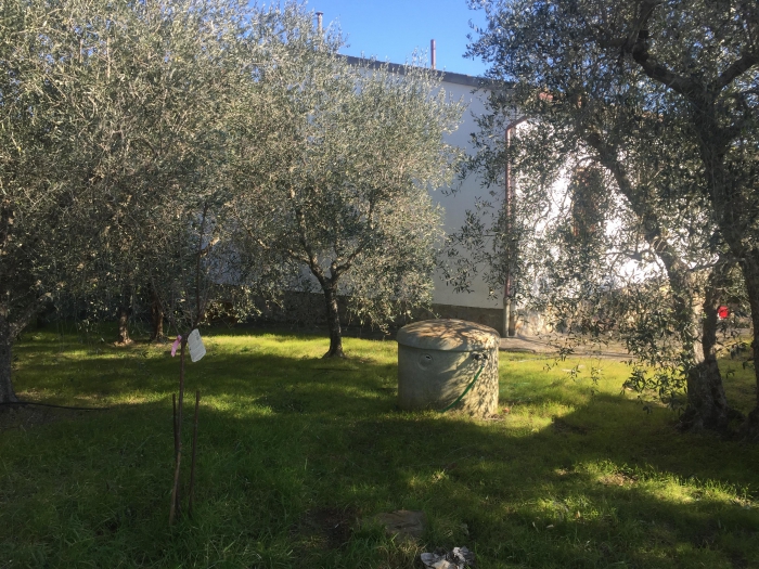 Foto Villa in Vendita in Via Scansanese  - Grosseto (GR)