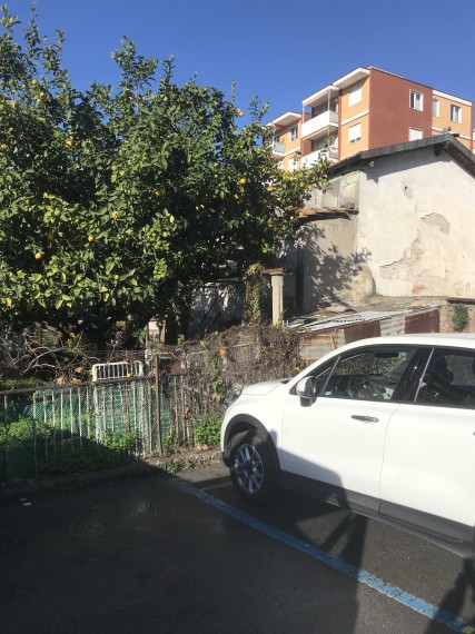 Foto Terreno in Vendita in Via San Vincenzo 145 - Vallecrosia (IM)