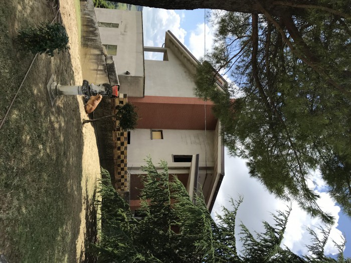 Foto 4 Casa indipendente in Vendita in Via Ss. Crocefisso  - Francavilla d'Ete (FM)
