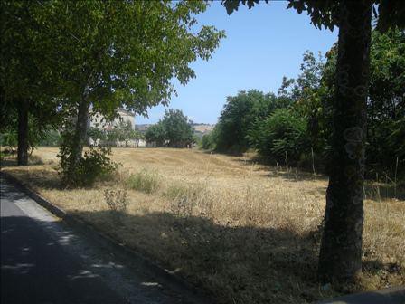 Foto Terreno in Vendita in Via Belvedere N14 - Colli al Metauro (PU)