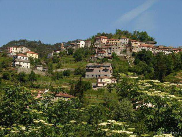 Foto Casa indipendente in Affitto in Loc. Cassana - Borghetto di Vara (SP)