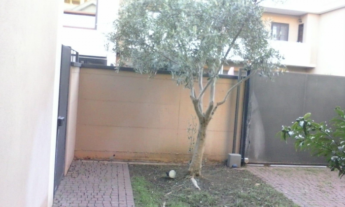 Foto Appartamento in Vendita in Località Acilia - Roma (RM)
