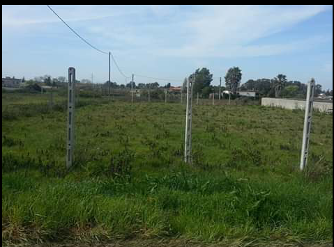 Foto Terreno in Vendita in Via Vomano - Aprilia (LT)