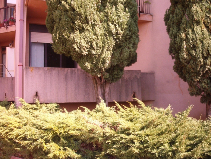 Foto principale Appartamento in Vendita in VIALE B. DA SEMINARA, 20 - Catanzaro (CZ)