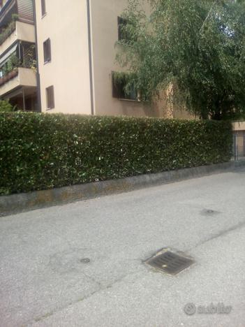 Foto 2 Appartamento in Vendita in Via Cesare Pavese 1 - Peschiera Borromeo (MI)