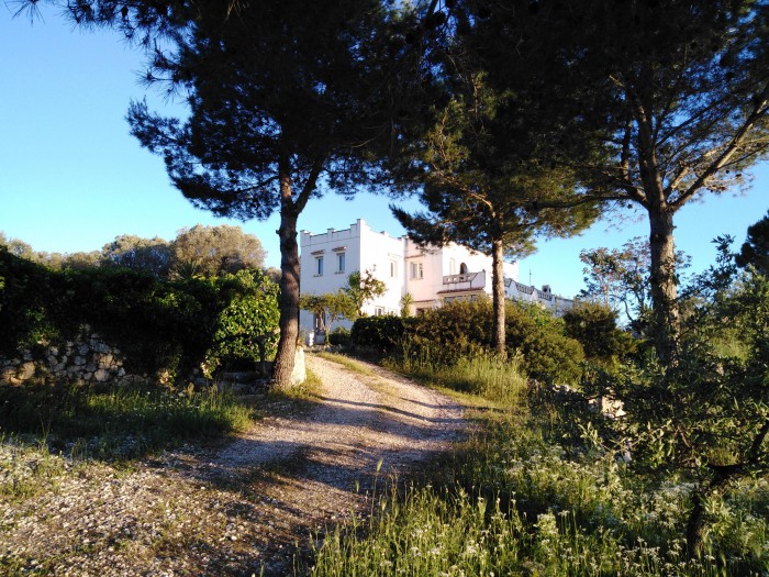 Foto principale Casa indipendente in Vendita in Contrada Cervarolo - Ostuni (BR)