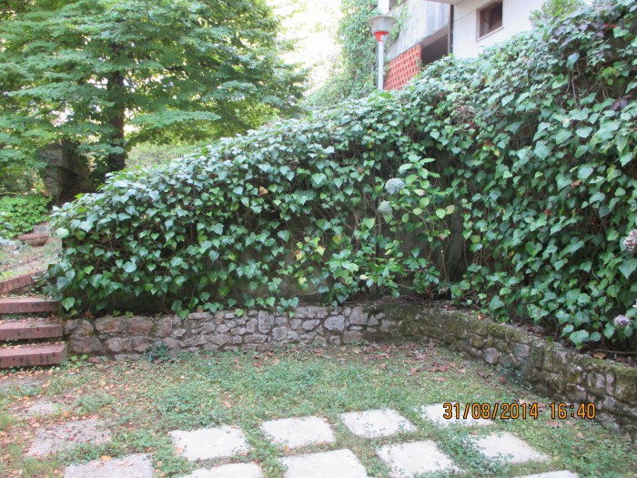 Foto 3 Villa in Vendita in Via Enrico Fermi - Sant'Angelo a Cupolo (BN)