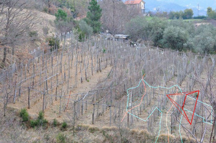 Foto 5 Terreno in Vendita in Loc Verne - Stella (SV)