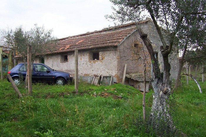 Foto 5 Terreno in Vendita in Via Colleafri 46 - Gallicano nel Lazio (RM)