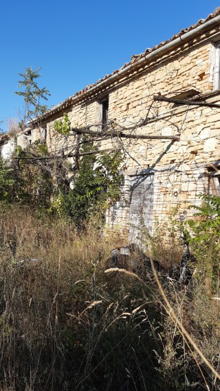 Foto 2 Casa indipendente in Vendita in Via 8 Marzo  - Sant'Elpidio a Mare (FM)