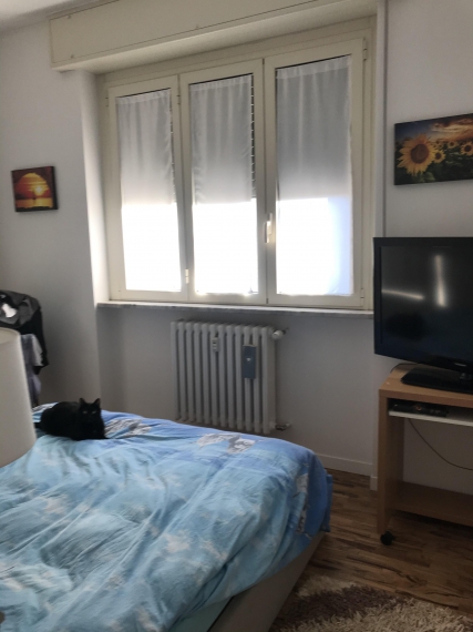Foto 3 Appartamento in Vendita in Via Marconi 10 - Cinisello Balsamo (MI)