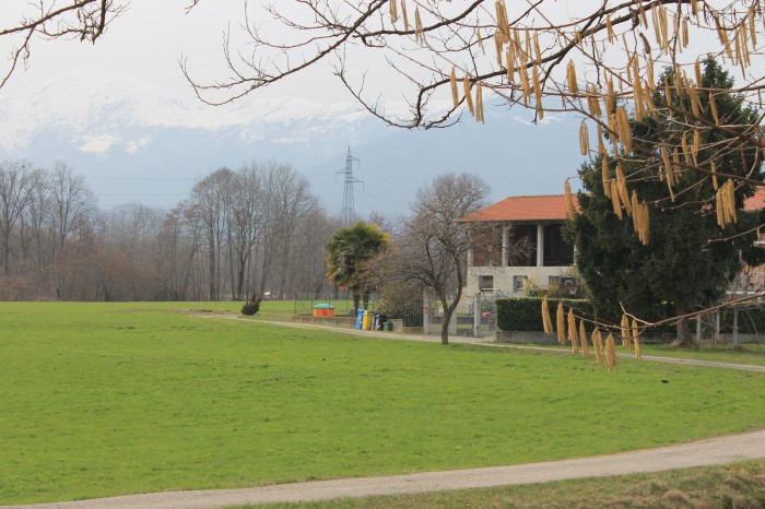 Foto Terreno in Vendita in Strada Ponte Rosso 59 - Castellamonte (TO)