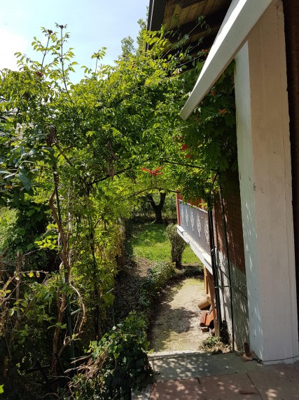 Foto 2 Villa in Vendita in Viale Stazione 26 - Arena Po (PV)