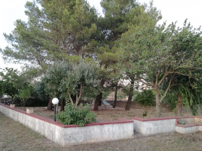Foto 4 Villa in Vendita in Via Franzulli - Martina Franca (TA)