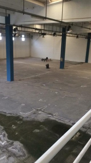 Foto 4 Terreno in Vendita in Zona Industrial, Contrada San Paolo 10 - Laureana Cilento (SA)