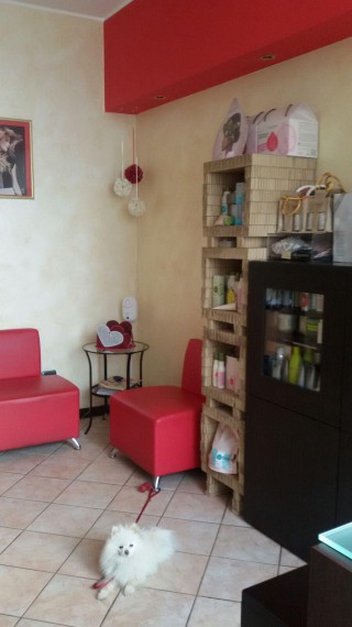 Foto 5 Negozio in Vendita in Via Maffei,44 - Sondrio (SO)