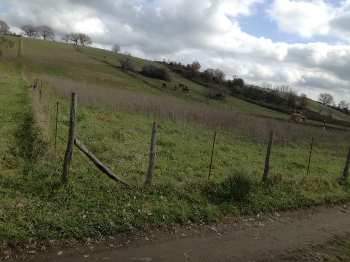 Foto Terreno in Vendita in Valle Contessa - Anguillara Sabazia (RM)