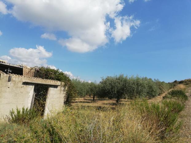 Foto 5 Terreno in Vendita in Strada Provinciale 57 - Noto (SR)