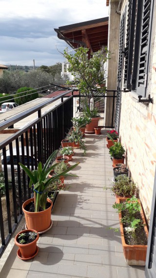 Foto 2 Appartamento in Vendita in Via Riccione N.44 - Vasto (CH)