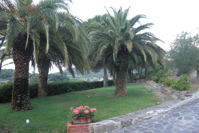 Foto 2 Casa indipendente in Vendita in Buraccio - Portoferraio (LI)
