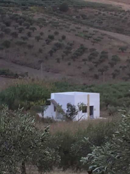 Foto 4 Terreno in Vendita in Contrada Torre - Ribera (AG)