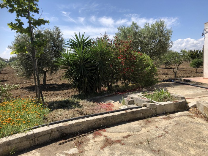 Foto 4 Terreno in Vendita in Strada Statale 16 X S. Vito - Brindisi (BR)