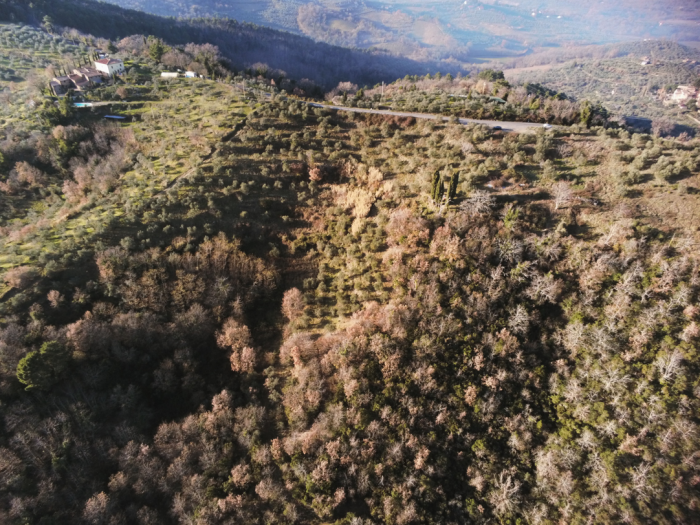 Foto Terreno in Vendita in Via Di Moncioni - Montevarchi (AR)