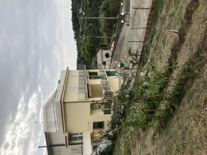 Foto 2 Villa in Vendita in LOC Fiscolini 1 - Cetraro (CS)