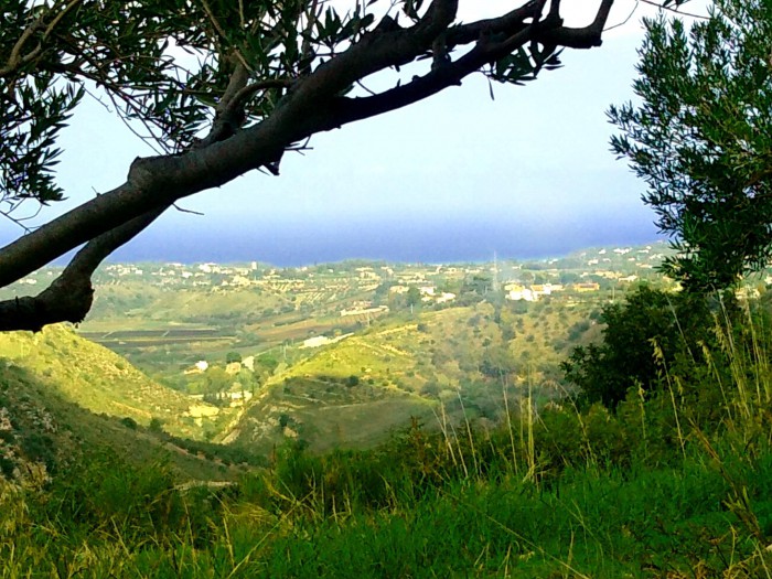 Foto Terreno in Vendita in Contrada Pilato Fraginesi - Castellammare del Golfo (TP)