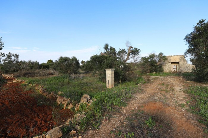 Foto Terreno in Vendita in Via Lupo Dei Beneficati, Snc - Taviano (LE)