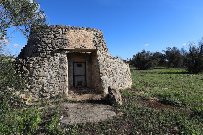 Foto 4 Terreno in Vendita in Via Lupo Dei Beneficati, Snc - Taviano (LE)