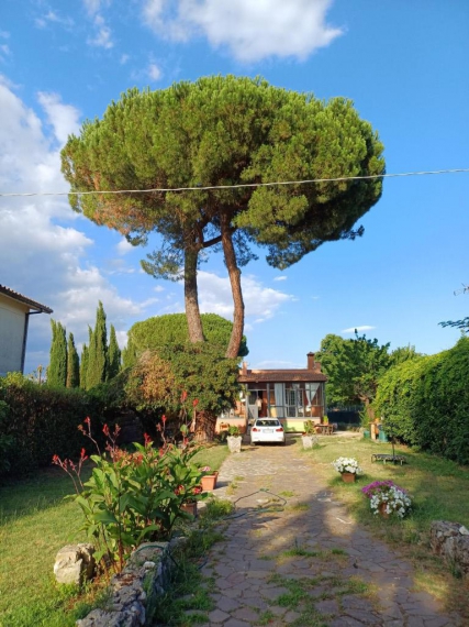 Foto 5 Casa indipendente in Vendita in Via Casilina Snc - San Cesareo (RM)