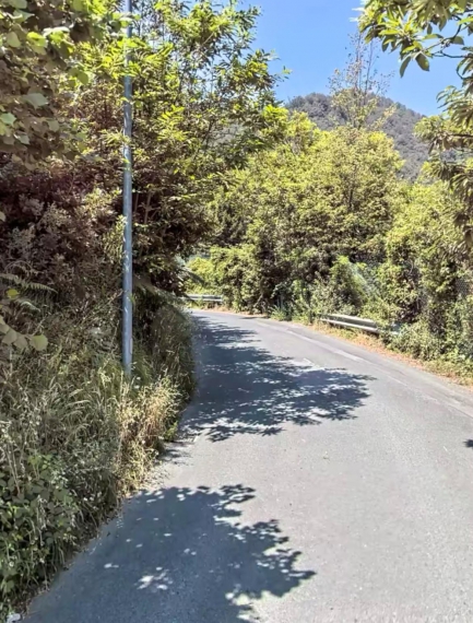 Foto Appartamento in Vendita in Via Villa Oneto - Leivi (GE)