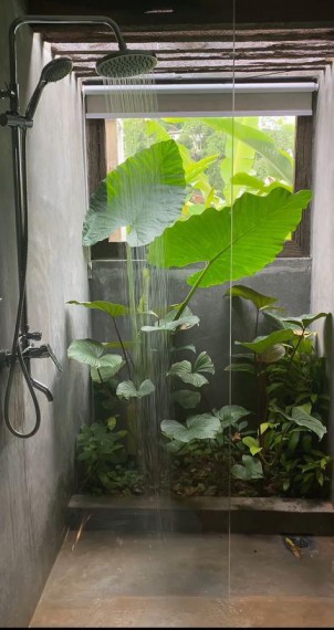 Foto 3 Casa indipendente in Vendita in Via Noventana - Noventa Padovana (PD)