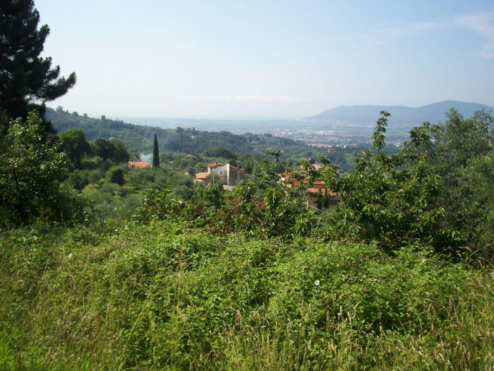 Foto 3 Cielo-terra in Vendita in Paghezzana - Fosdinovo (MS)