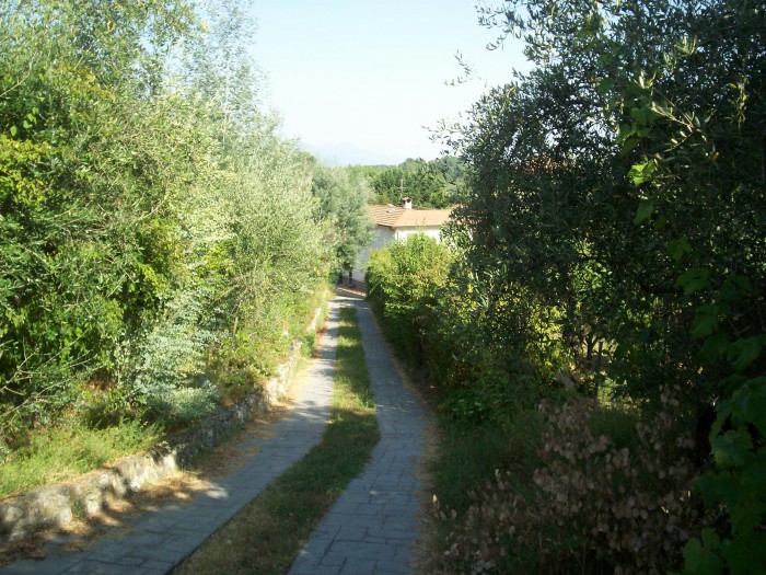 Foto 2 Terreno in Affitto in Romito Magra Via Provinciale 16 - Arcola (SP)