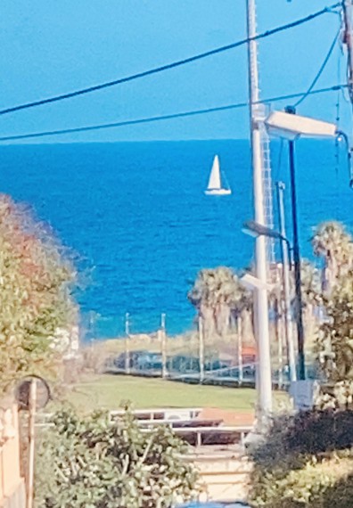 Foto Villa in Vendita in Via P. Flesia - Sanremo (IM)