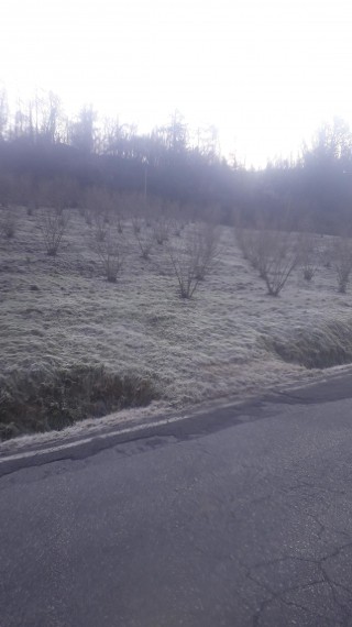 Foto 2 Terreno in Vendita in Via Riavolo 100 - Dogliani (CN)