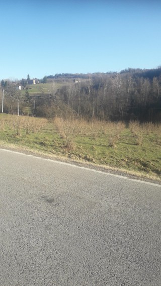 Foto 3 Terreno in Vendita in Via Riavolo 100 - Dogliani (CN)