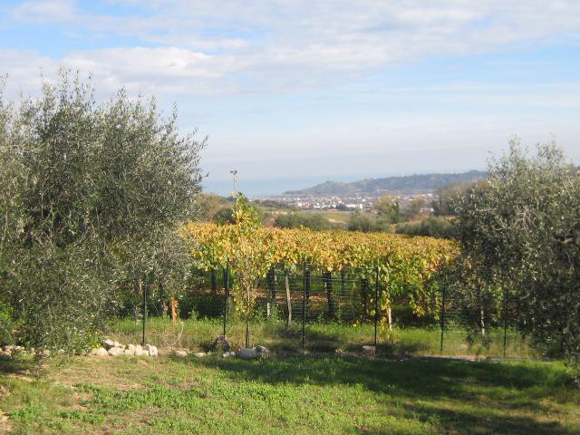 Foto 4 Casa indipendente in Vendita in Via A. S. Cecilia - Ripa Teatina (CH)