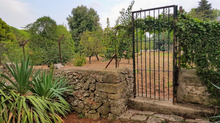 Foto 5 Casa indipendente in Vendita in VIA S. EUSTACHIO 4 - Acquaviva delle Fonti (BA)