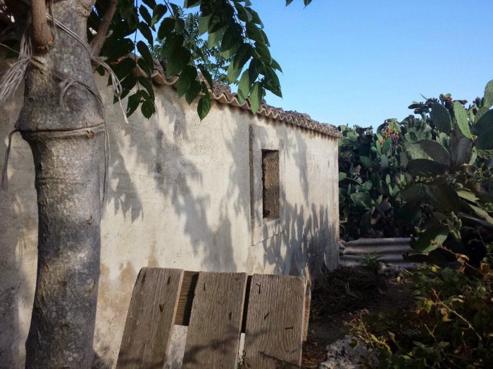 Foto 5 Terreno in Vendita in C/da Carrubbella - Noto (SR)