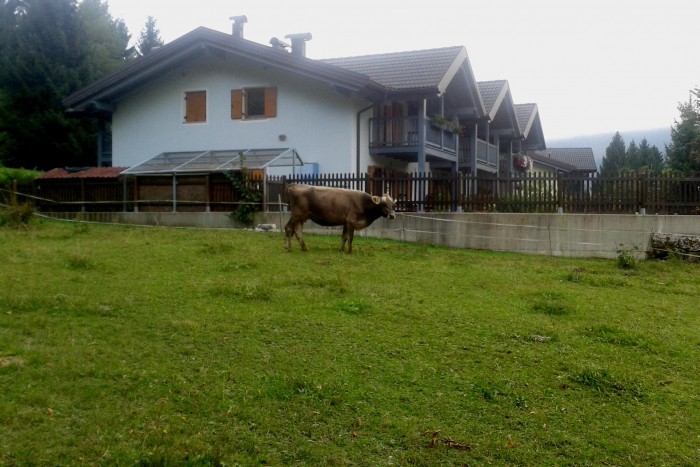 Foto Appartamento in Vendita in Via Al Parco 95 - Folgaria (TN)