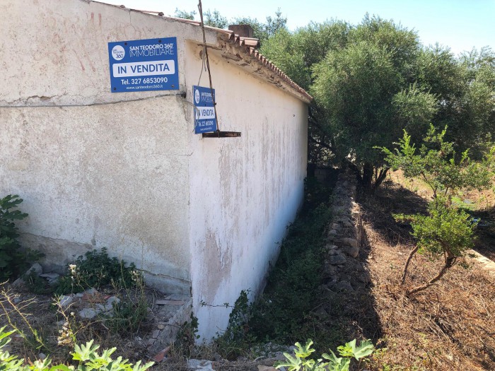 Foto 3 Terreno in Vendita in Punta Est Case Peschiera  - San Teodoro (SS)