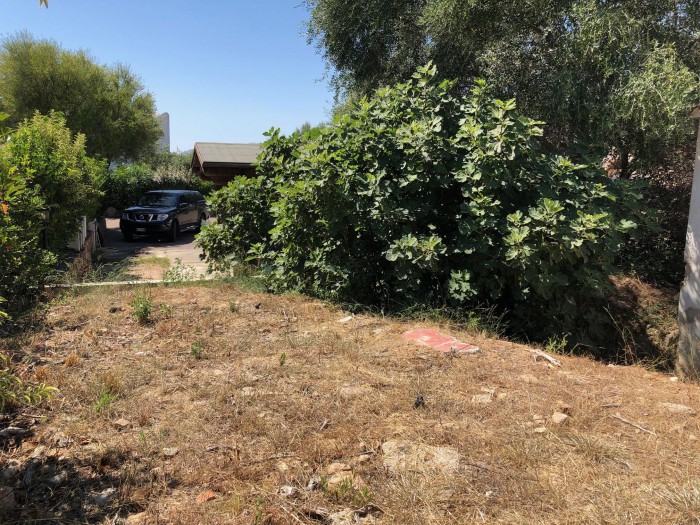 Foto 4 Terreno in Vendita in Punta Est Case Peschiera  - San Teodoro (SS)