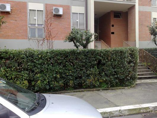 Foto principale Appartamento in Vendita in VIA ANNIBALE DE GASPARIS - Roma (RM)